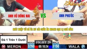 TRẬN 29 CPC3 8/6/2026