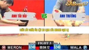 TRẬN 3 CPC3 7/6/2026