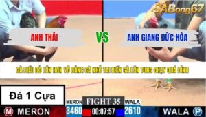 TRẬN 35 CPC3 7/6/2026