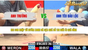 TRẬN 36 CPC3 7/6/2026