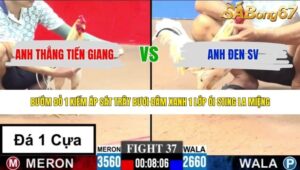 TRẬN 37 CPC3 4/6/2026
