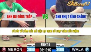 TRẬN 5 CPC2 2/6/2026