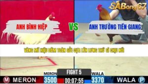 TRẬN 5 CPC2 3/6/2026