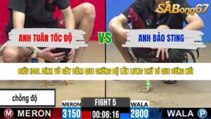 TRẬN 5 CPC2 5/6/2026