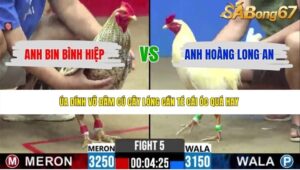 TRẬN 5 CPC2 8/6/2026