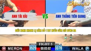 TRẬN 5 CPC3 4/6/2026