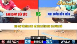 TRẬN 6 CPC3 8/6/2026