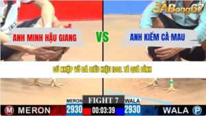 TRẬN 7 CPC3 8/6/2026