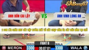 TRẬN 8 CPC2 1/6/2026