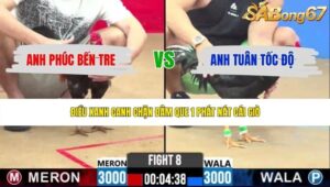 TRẬN 8 CPC2 5/6/2026