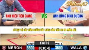 TRẬN 9 CPC2 5/6/2026
