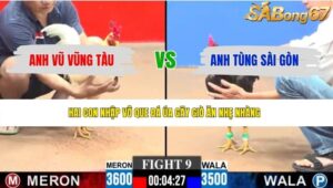 TRẬN 9 CPC3 7/6/2026